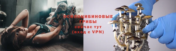 ГАЛЛЮЦИНОГЕННЫЕ ГРИБЫ Корсаков