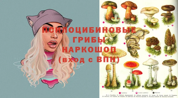 кокс Балабаново