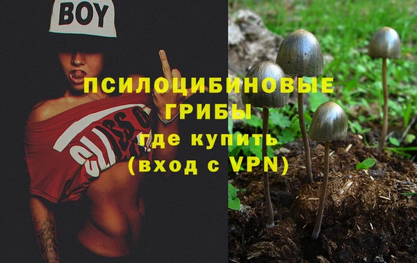 твердый Аркадак