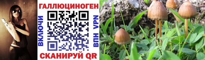 Галлюциногенные грибы Magic Shrooms  где купить наркотик  Макаров 