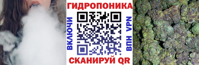Бошки марихуана планчик  Макаров 